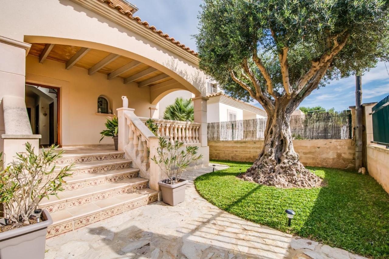 Ideal Property Mallorca - Didi Alcúdia Exterior foto
